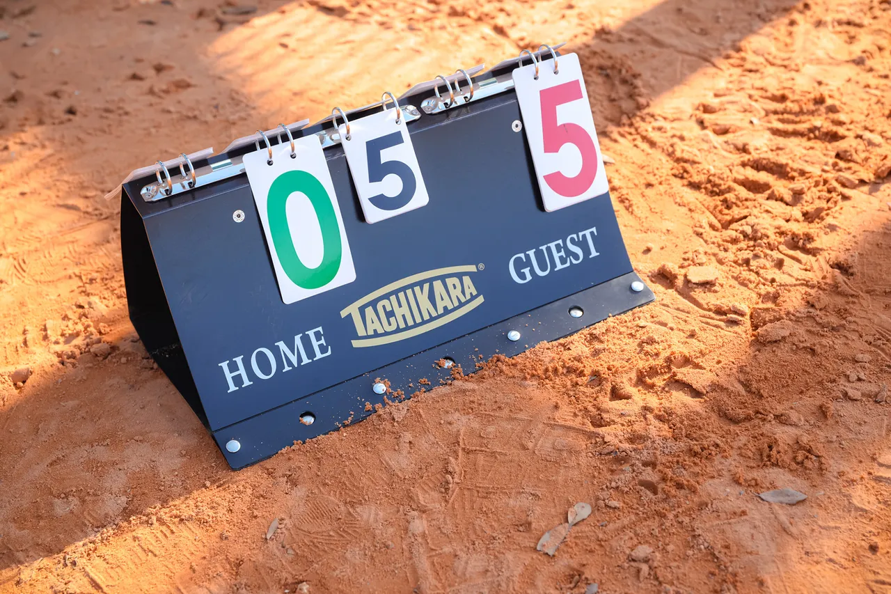 LifeAlliance – Annual Softball Tournament, photo 20