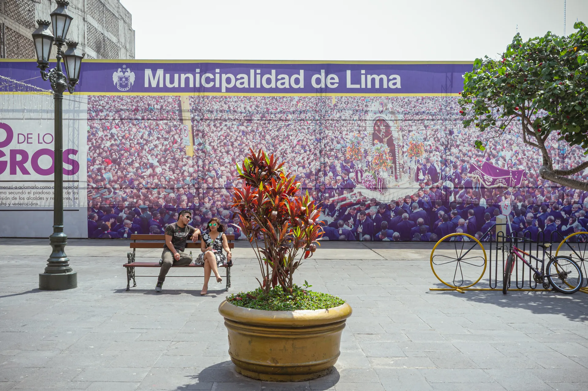 Lima Street, photo 4