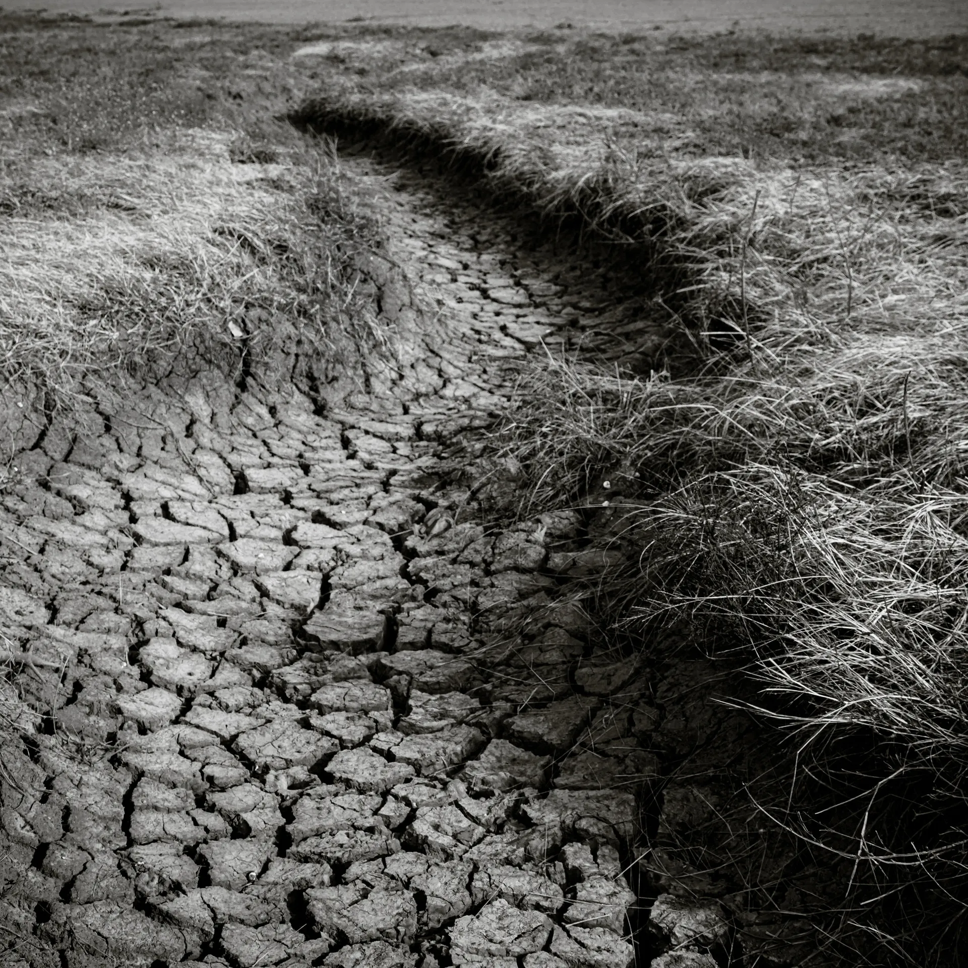 Quisiro, Sea of Sand, photo 3