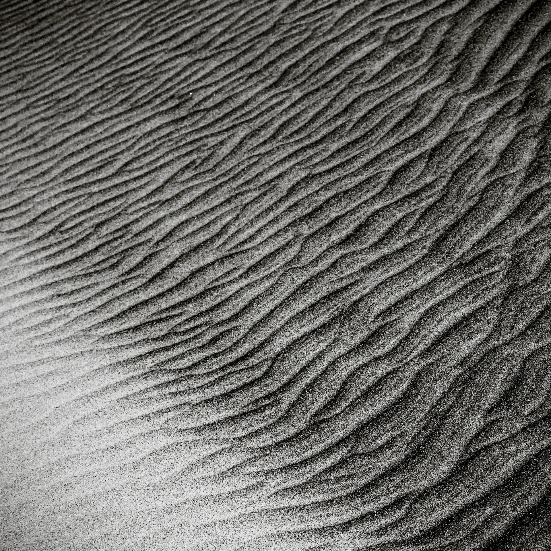Quisiro, Sea of Sand, photo 4