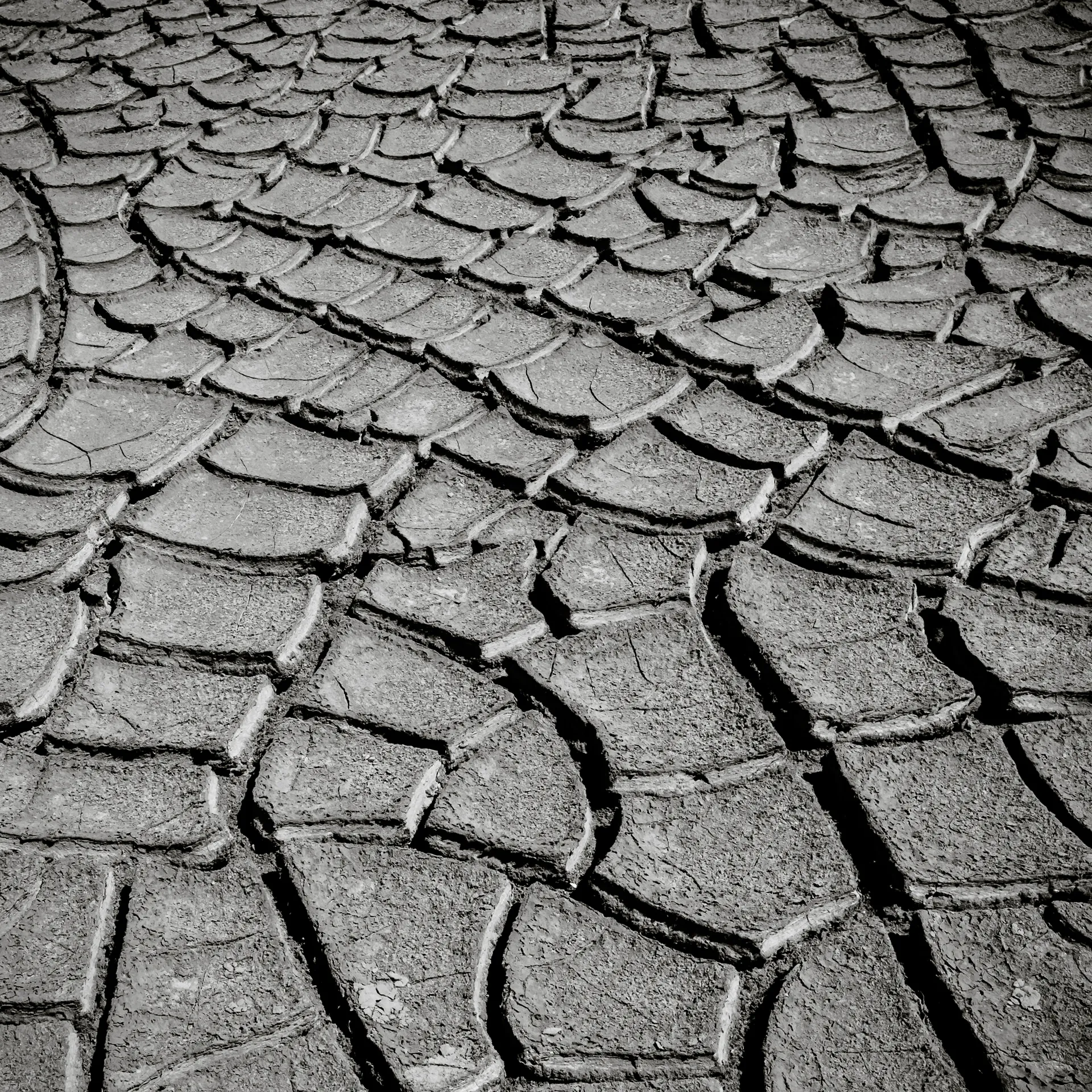 Quisiro, Sea of Sand, photo 5