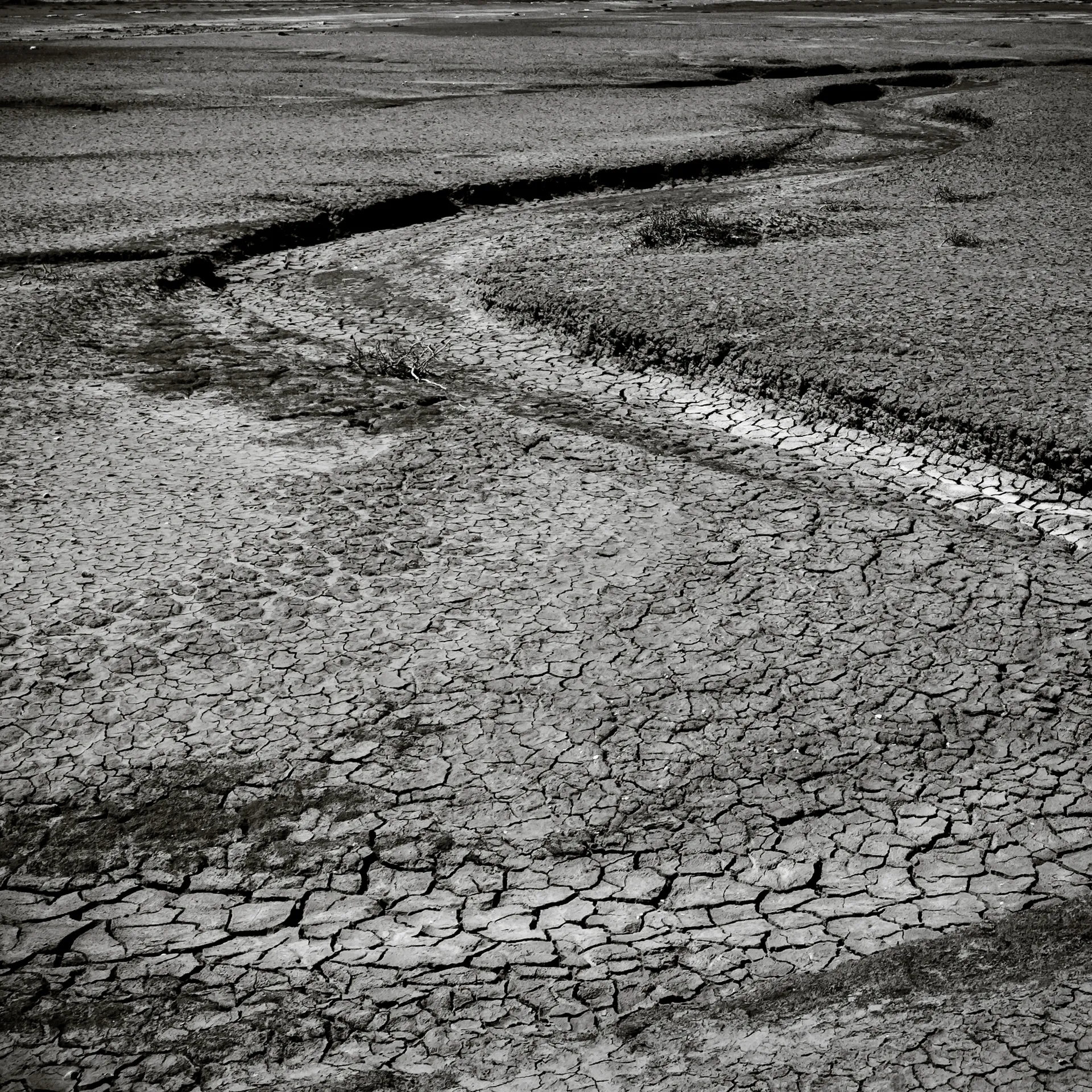 Quisiro, Sea of Sand, photo 6