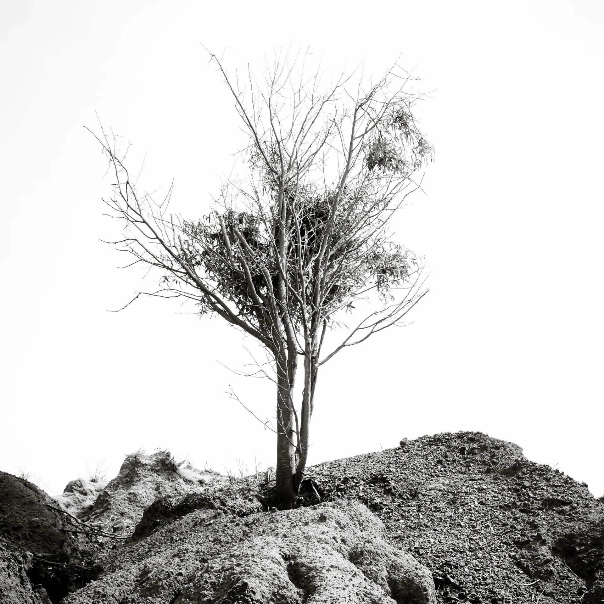 Quisiro, Sea of Sand, photo 7