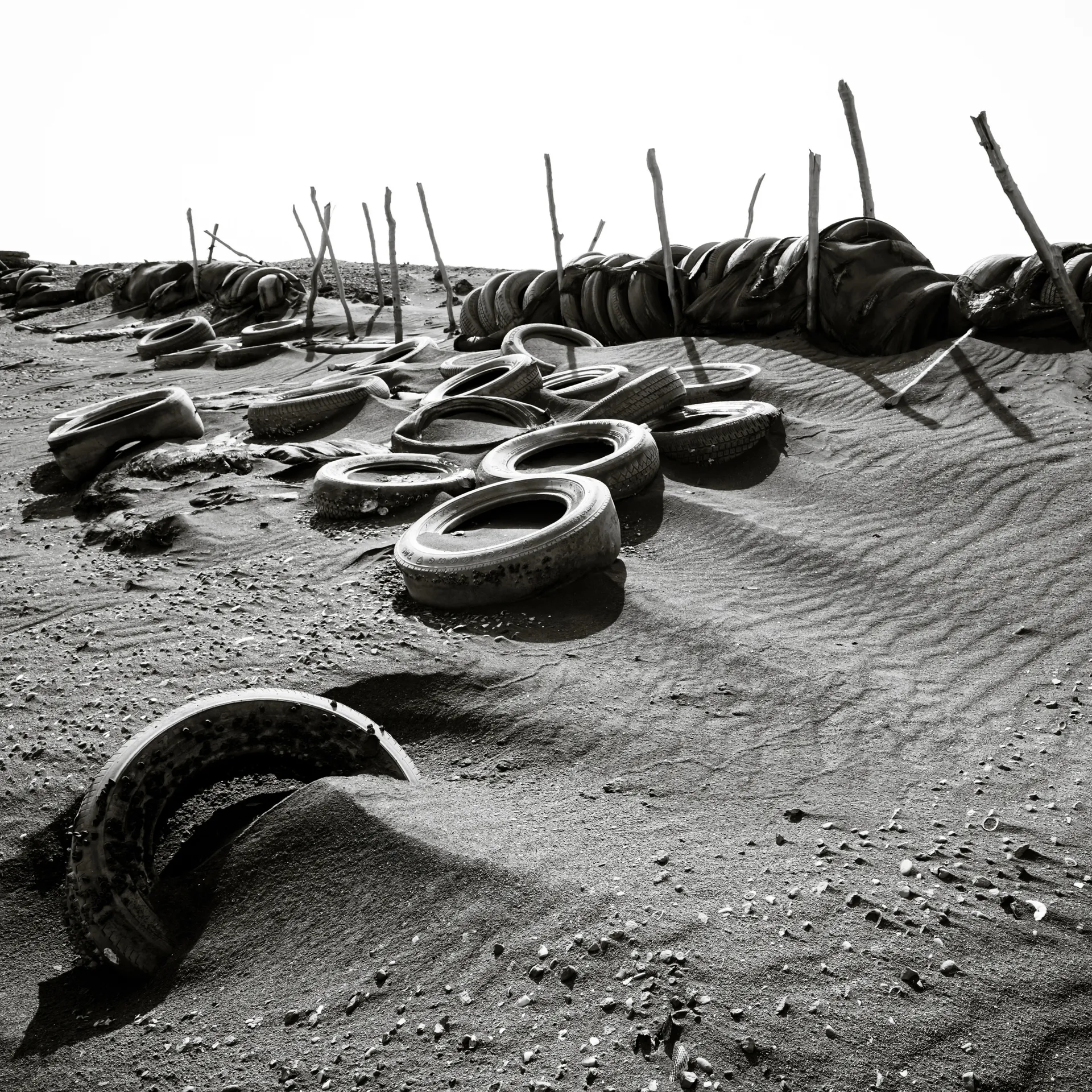 Quisiro, Sea of Sand, photo 10