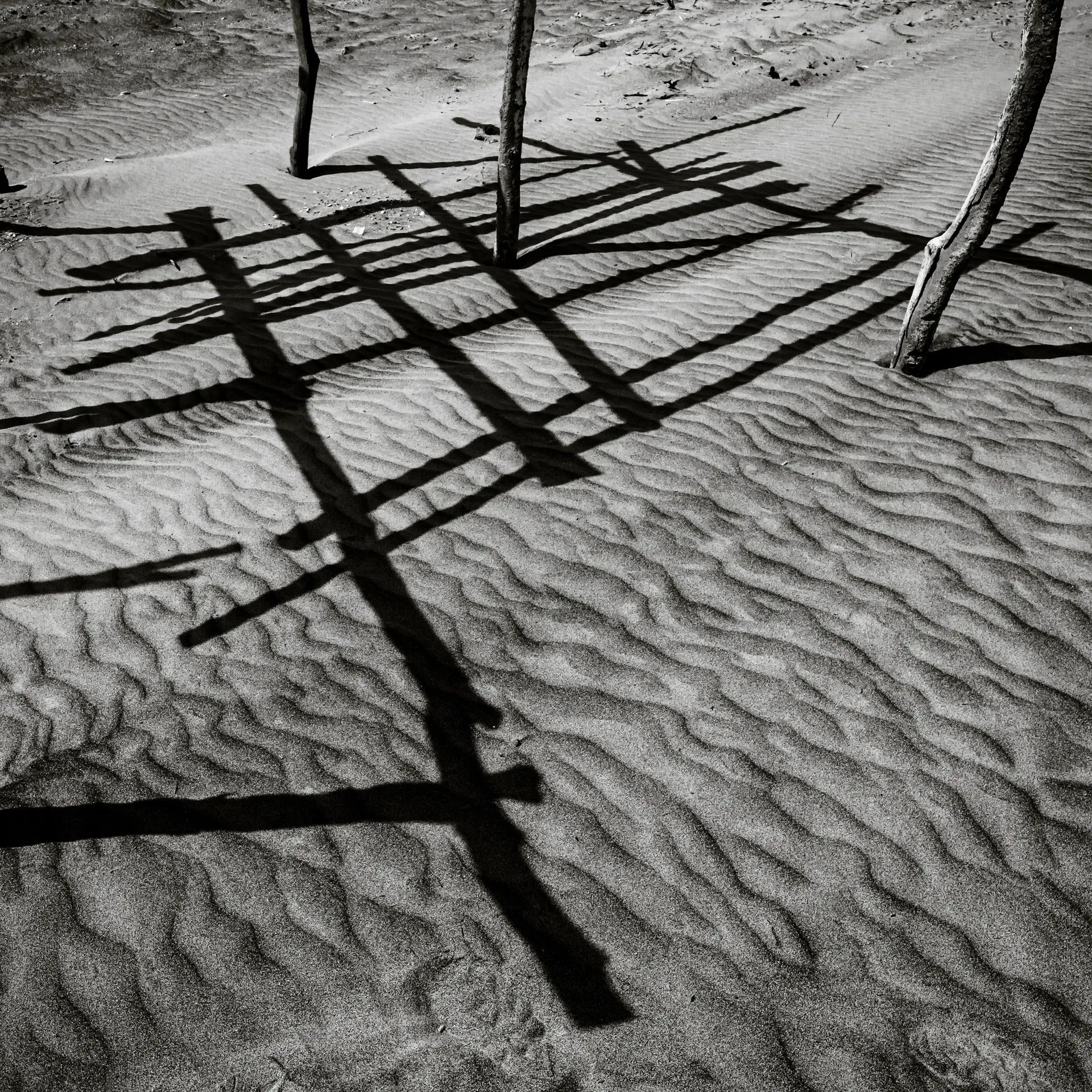Quisiro, Sea of Sand, photo 11