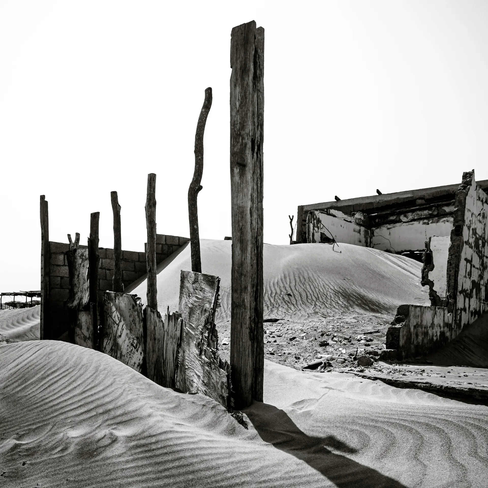 Quisiro, Sea of Sand, photo 15