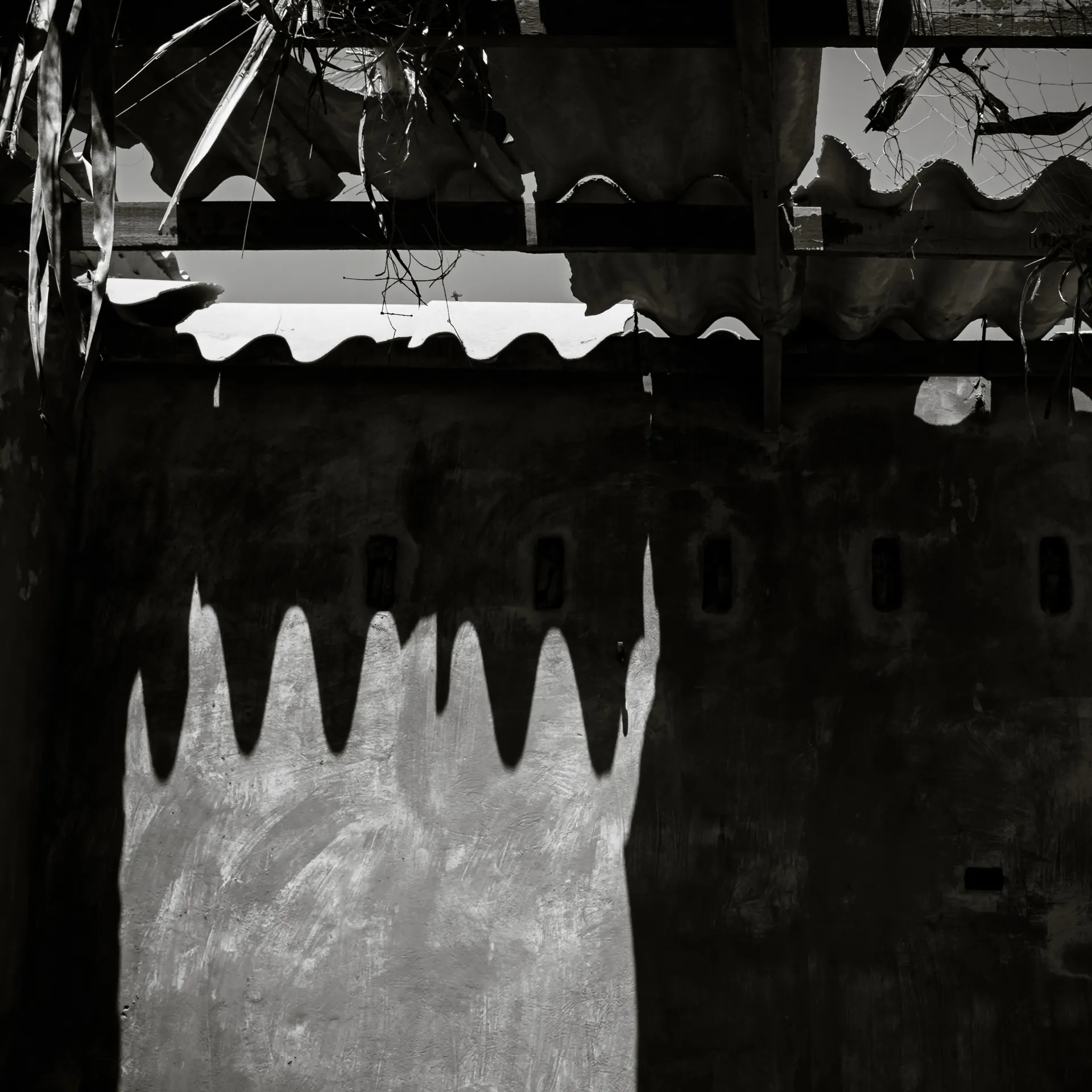 Quisiro, Sea of Sand, photo 20