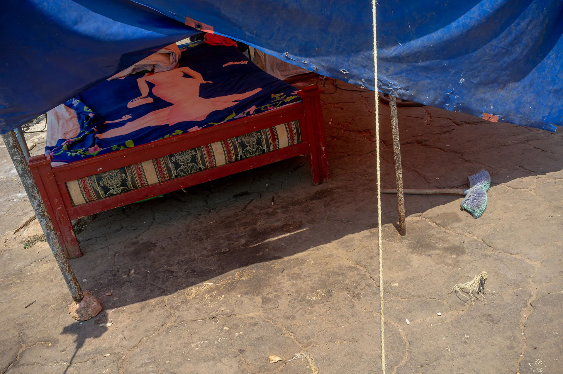 We transport joy, photo 7