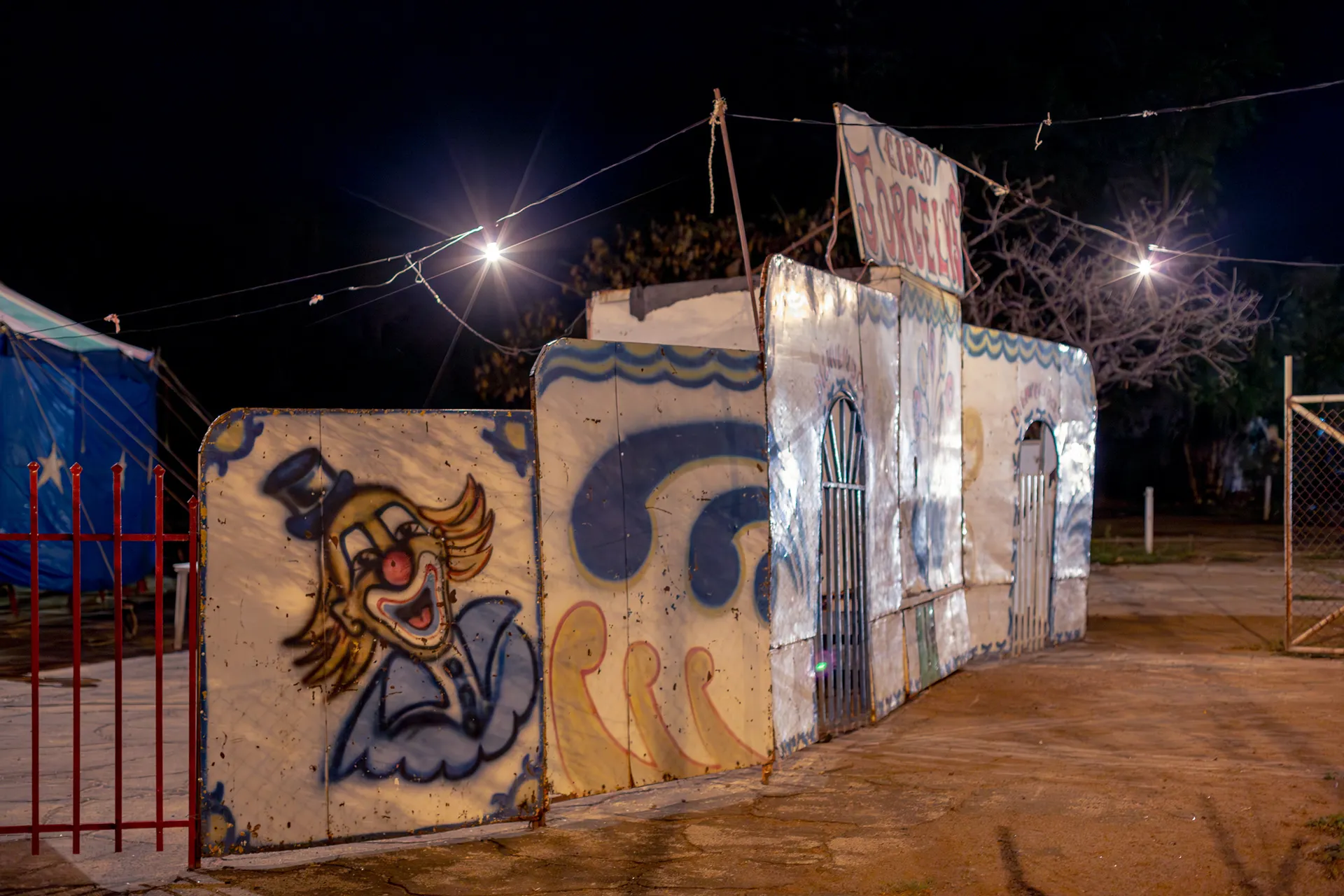 We transport joy, photo 11